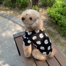 호치민칼디커피 이미지