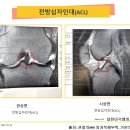 정상행정사 이미지