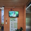지리산 중산리에서 제대로 힐링하고 온 숙소, 지리산나무처럼 후기 🌿