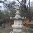 경주이씨들이 소요스님 모친 묘소 돌본다