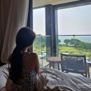 신서귀로 | JW 메리어트 제주 - 프리미엄 스위트 투숙 후기 및 주변 식당 추천!