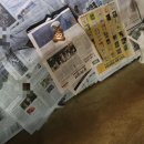 하얀강아지 | 전북 익산 하얀강아지 유기견 센터 봉사 후기