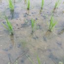 호원농장 이미지