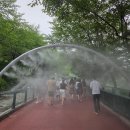 광명 | 광명동굴 후기 주차 팁부터 추천 코스 역사 이야기와 와인 구매까지 정리