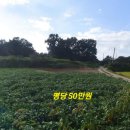 강화원공인중개사사무소 이미지