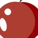 비타민도매몰 이미지