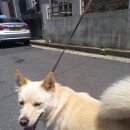 청기횟집
