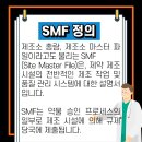 SMF 시스템
