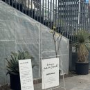 스톡(stock) | 후쿠오카 빵스톡 Pain stock 후기