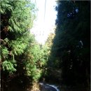 영평상동 마을회관 이미지