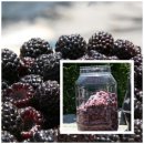 거창-고제-6 이미지