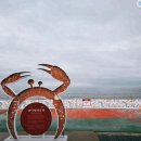 말미산 | 영덕 가볼만한곳 베스트 10 후기포함