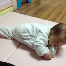 레드불 모터스 이미지