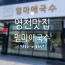 영천시니어클럽(별빛소반) | [영천에서 맛따라] - 엄마애국수