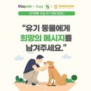 써니네트웍스 이미지