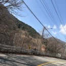 북면162 | [템플스테이 후기] 가평 대원사 1박2일 솔직 후기 (가격, 일정, 준비물)