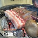 서씨고기