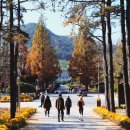 (주)경주산림환경 이미지