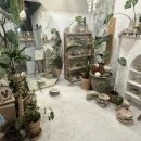 회원동165 이미지