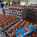 지현농장 이미지