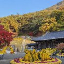 낙동강체육공원 파크골프장 끝 이미지