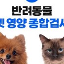 영양집 - 공주시 | 영양집