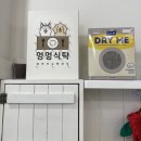 멍멍식탁 이미지