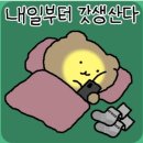 [위염] 예방, 치료약 내돈내산 후기