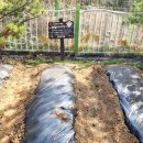 조남농장 이미지