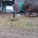 달빛이머무는둥지 이미지