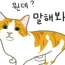 미리네 수선 이미지