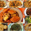 반딧불 프리미엄 이미지