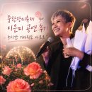 중랑장미축제 이은미 가수님 공연 후기 | 오랜 기다림도 사르르 녹아내린 밤
