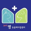 24시 명동물메디컬센터 이미지