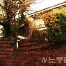 삼성동-12 티스토리