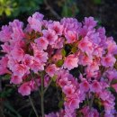 하늘정원2 이미지