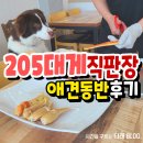 영덕 205대게직판장 애견동반 내돈내산 후기