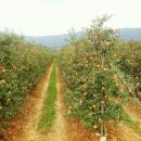 윤이농장 이미지