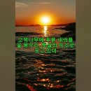 햇살의 미소