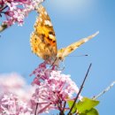 유년시절 | 아직도 나는 유년시절?