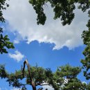 서울승마힐링캠프 이미지