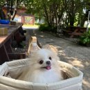 나리 야영장 옆 이미지