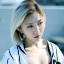 홍단아 카카오 검색결과