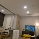 환타랜드숲유치원 | [6월 서울여행 둘째날] 서울숲 포켓몬포레스트 평일대기예약 팁과 용산아이파크 포켓몬카드샵 다녀온 후기