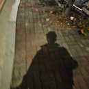 영동낚시 | 영흥도 배낚시 영동2호 모닝스타 쭈꾸미 주꾸미 갑오징어 초보 낚시 일요일 이용 후기 주차 방법
