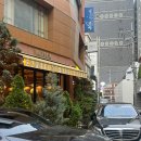 [도산공원 맛집] 가드너 아드리아 후기_ 추천메뉴