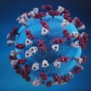 ● 바이러스의 3가지 특징 이미지