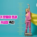 경희대 송라체육관 이미지