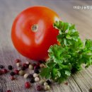 나눔방문요양센터 | 믿을 수 있는 금천구 요양원 추천 마음나눔방문요양센터 신뢰할 수 있는 선택