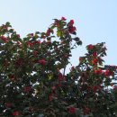 둥지식당 이미지